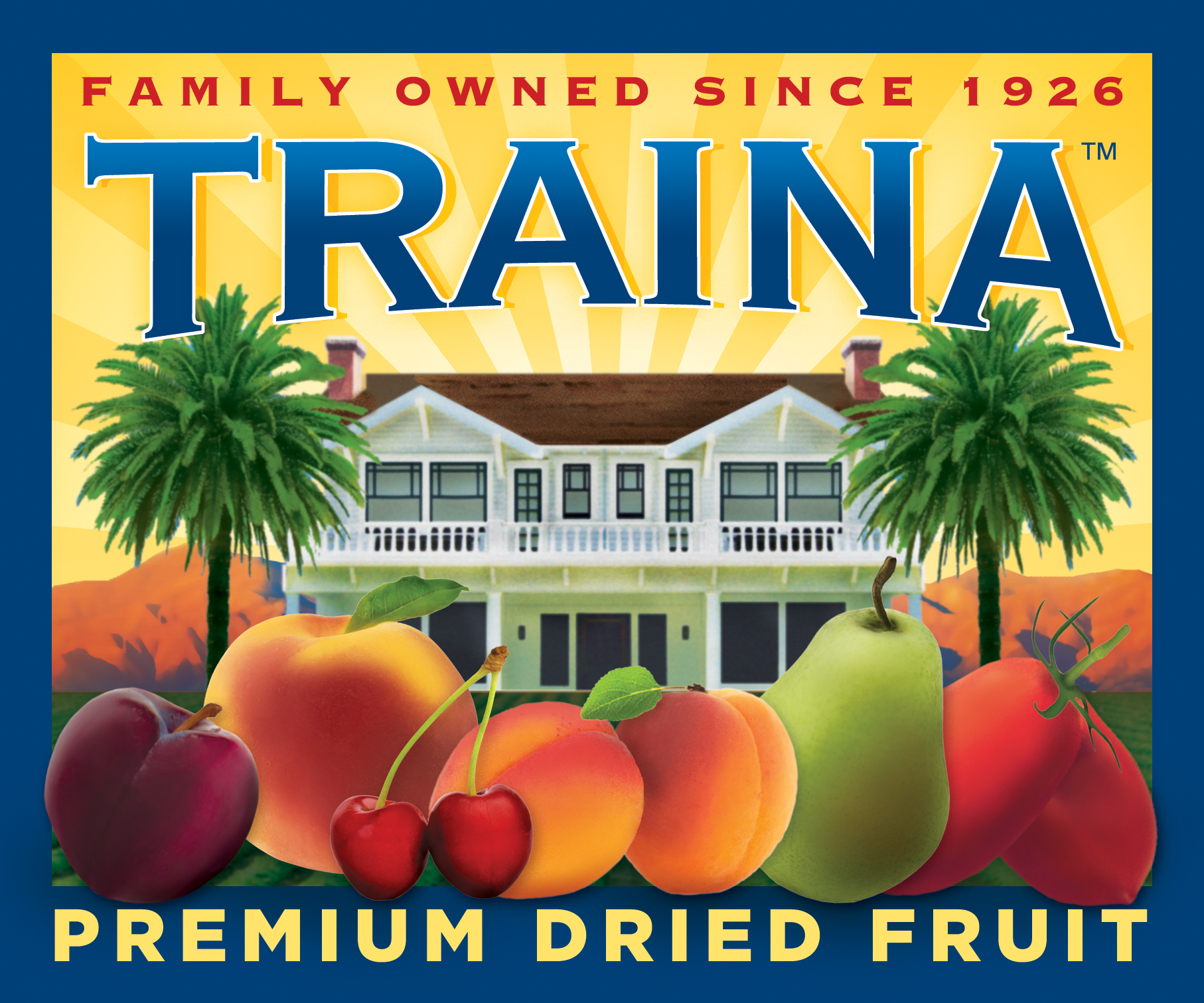 TrainaLogo
